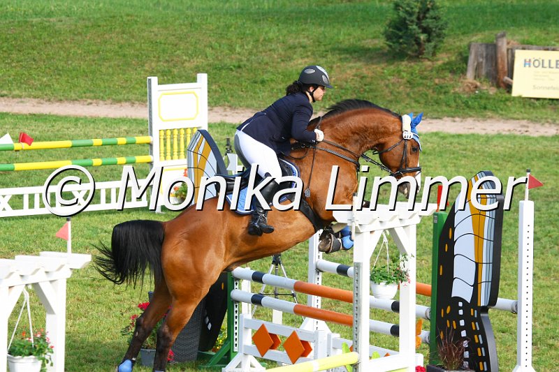 105M1588_Livington Soleil d Or_Stil_A.JPG - Turnier Sonnefeld Frankenhof 2011Foto von Monika Limmerwww.foto-limmer.de